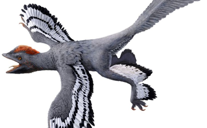 OPINION: Do you think fundraising is as exciting as a four-winged&nbsp;dinosaur?